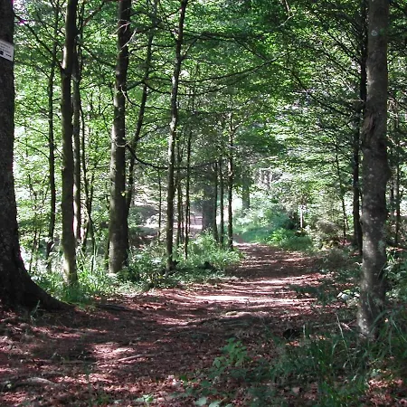 فيلة Belle Vue F3 4 To 6 People سانت-ماري-أو-مين